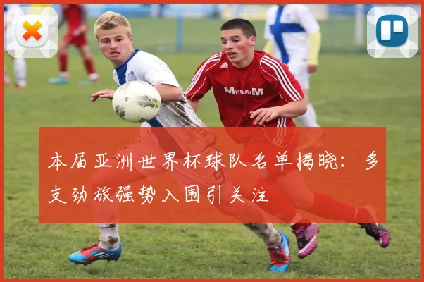 本届亚洲世界杯球队名单揭晓：多支劲旅强势入围引关注